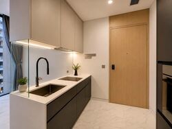 Cairnhill 16 (D9), Apartment #565080421